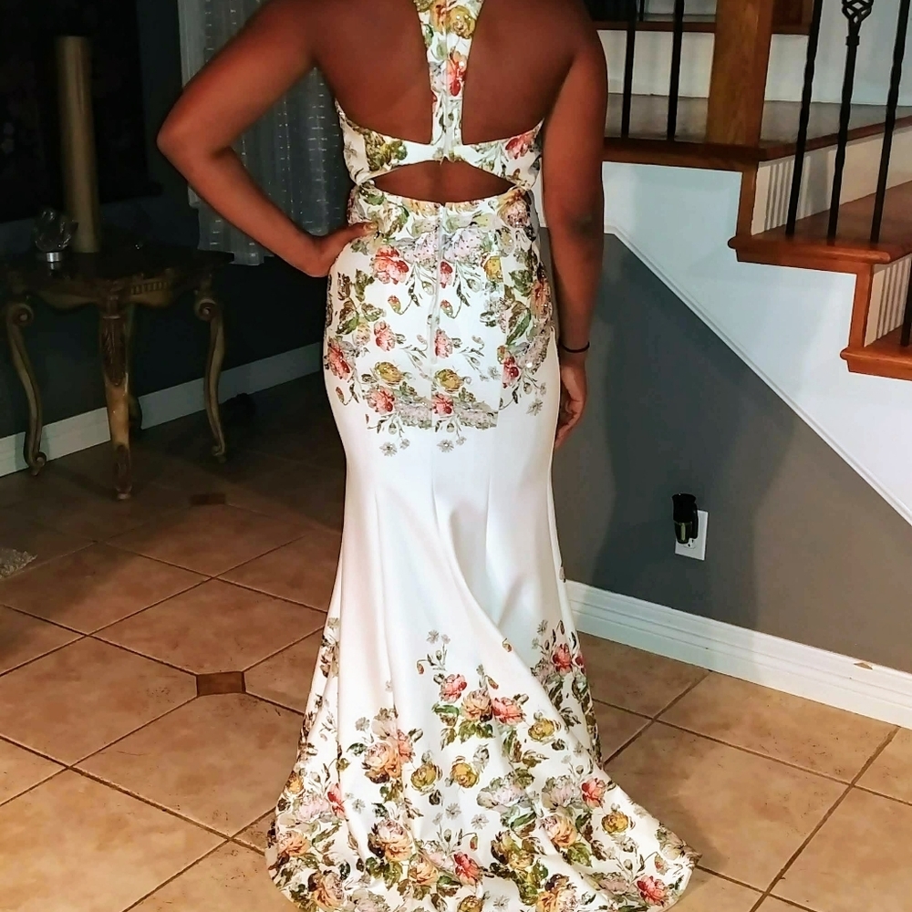 Prom dress, wedding dress or ball gown.